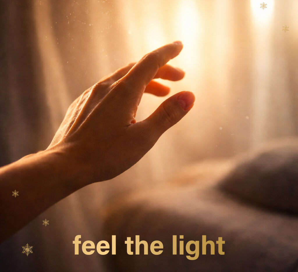 perdix - fühle das Licht